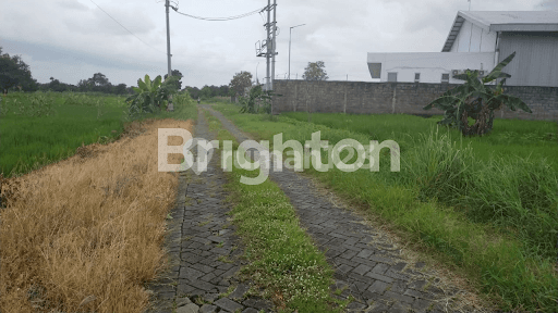 KAVLING SUMUR GEGER, BUKIT PALMA, MENGANTI