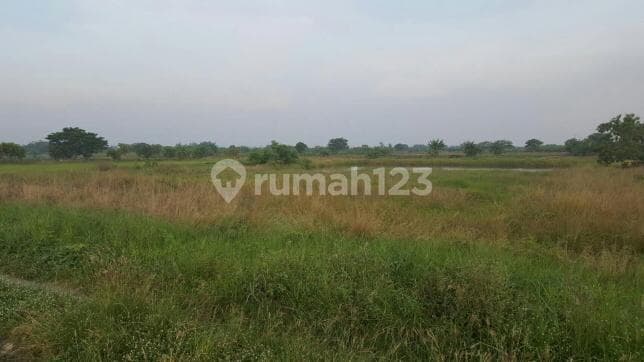 Tanah murah Gurang Anyar Cerme Gresik