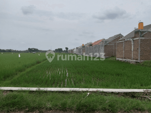 Tanah Murah Untuk Perumahan Dekat Solo Baru