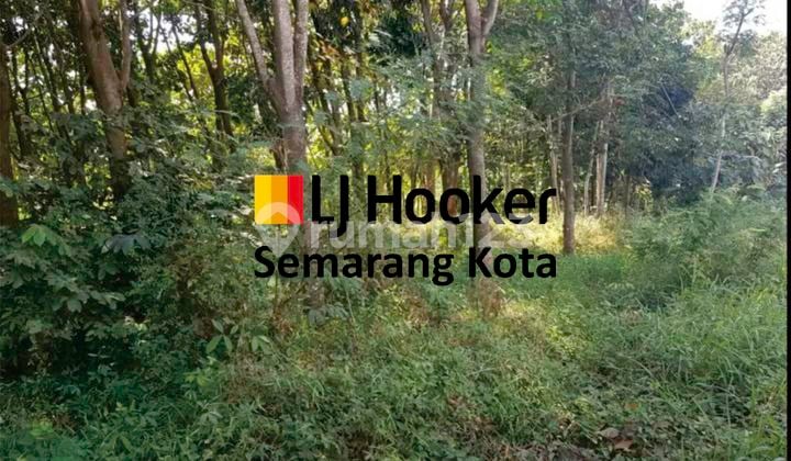Kavling zona industri di Batang