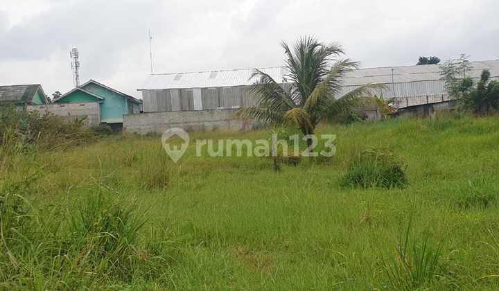 Tanah di Desa Cibinong Gunung Sindur Bogor