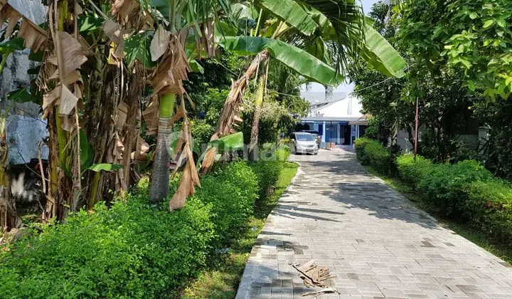 Tanah rindang di tengah kota, kalau bersedia contact segera