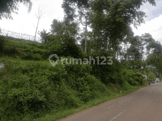 Strategic Land Location Cihideung Parongpong Lembang 300 Meters From Kampung Gajah on Sersan Bajuri Street, Bandung, Parongpong SHM - Certificate of Ownership