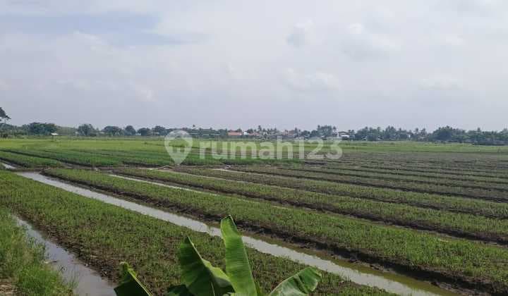 Tanah BU di Babakan Asam Teluk Naga Tangerang