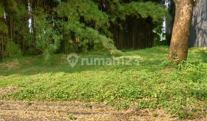 Bisa KPT atau Cicil Bertahap 36x Tanpa DP! Kavling Megah Posisi Badan Sudut Di Cluster Sutera Lavender Alam Sutera Bisa KPT atau Cicil Bertahap 36x Tanpa DP! Kavling Megah Posisi Badan Sudut Di Cluster Sutera Lavender Alam Sutera