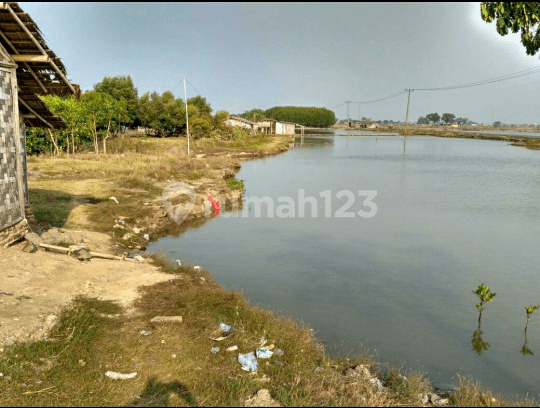 Kavling Persis Pinggir Pantai