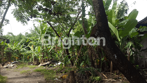 TANAH JALAN UTAMA GATSU BARAT
