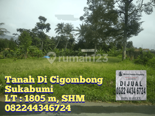 The land in Cigombong with an area of 1805 square meters is good and flat.