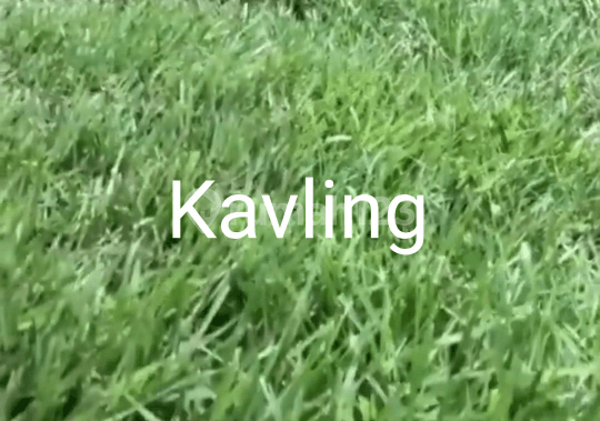 Harga TerMurahhh. Tigaraksa. Mabes. Munjul. Cileles.1jt per meter nego. Ijin industri.