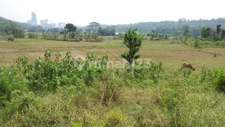 TANAH MURAH DI CITEUREUP - BOGOR