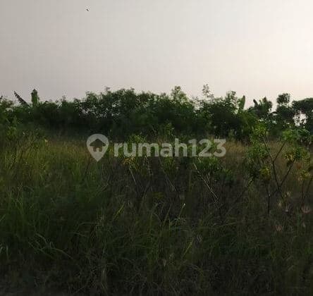 Dijual Tanah Komersial Strategi Di Deltamas Cikarang Bekasi