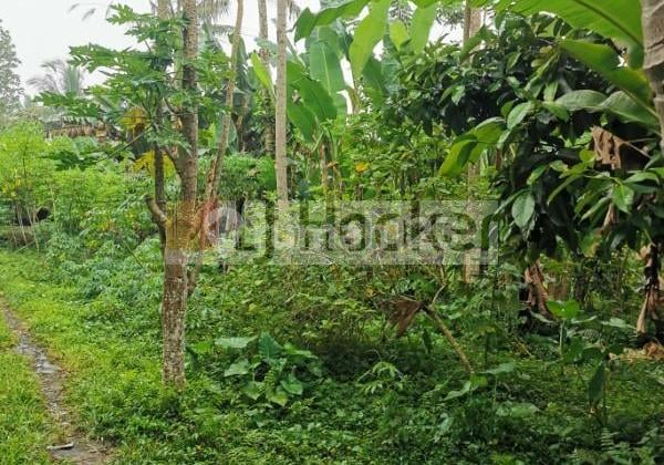 Land in Puhu Payangan Gianyar