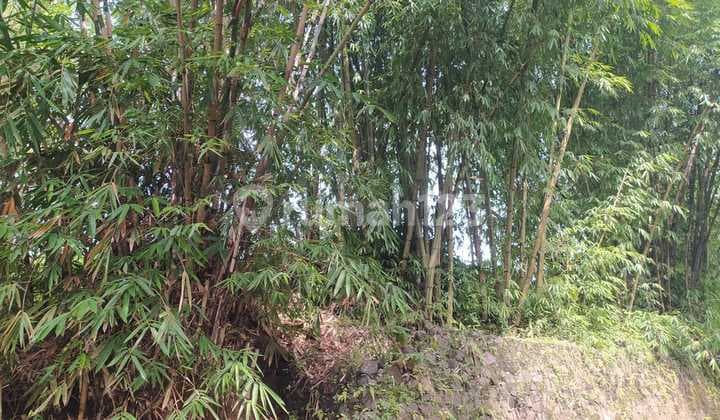 Tanah Sayap Jalan Cileunyi Harga NEGO !!