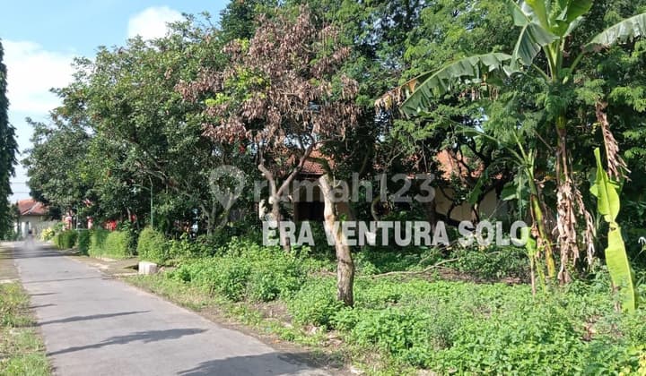 Ready-to-Build Residential Land in Boyolali