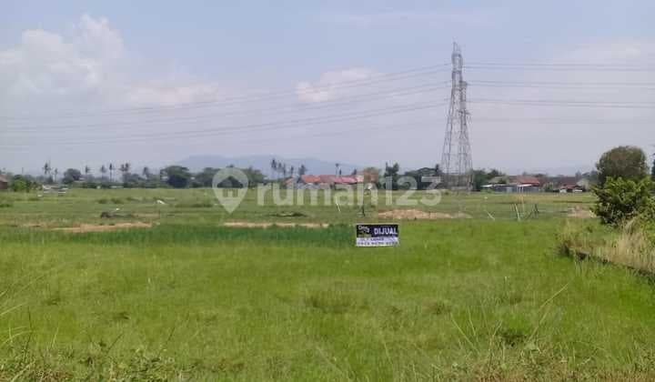Rice Field Land in Kebon Dalem