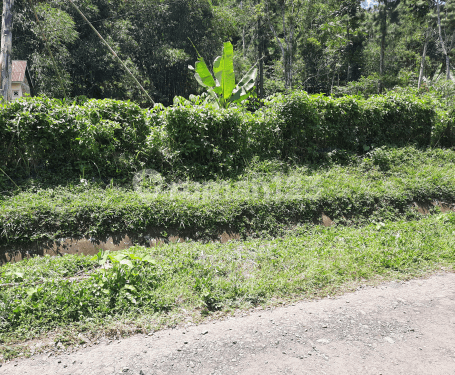 Flat land, good and cheap, on the side of a wide road.