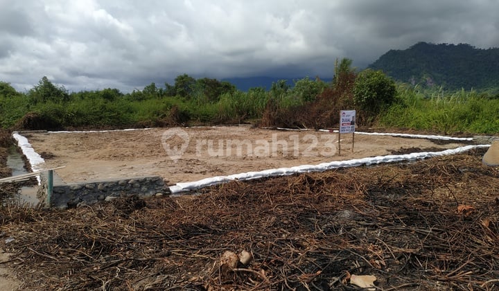 Tanah Hook. Padang Kota. SHM