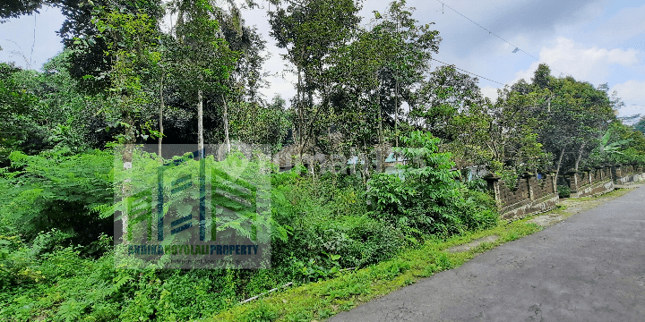 Dijual Tanah Pekarangan Murah Di Winong Boyolali