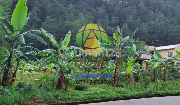 Tanah Murah di Tawangmangu Siap Bangun Luas 3377 Meter