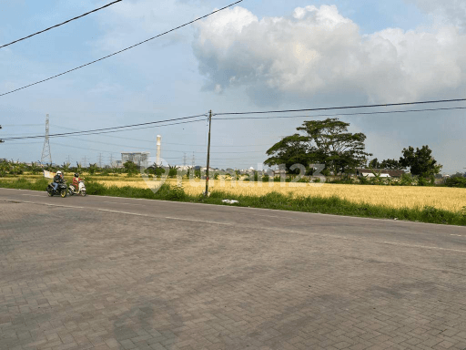 Tanah Murah dibawah Pasaran.