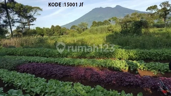 KODE :15001(Jf) Kavling Bogor, Luas 17 Hektar