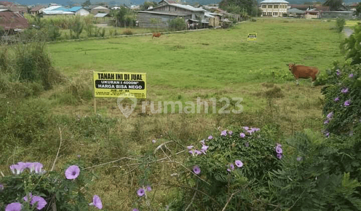 Tanah Stratrgis di Takengon Aceh Tengah