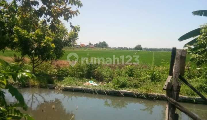 Lahan Daerah Negoro Wonoayu, Sidoarjo Lahan Daerah Negoro Wonoayu, Sidoarjo