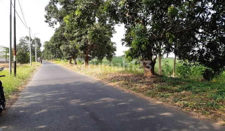 Tanah strategis buat pabrik