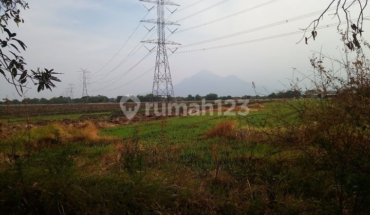 Tanah cocok untuk bisnis perumahan dan pabrik Tanah cocok untuk bisnis perumahan dan pabrik