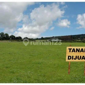 tanah langka di semambung juanda lama deretan swiss be tanah langka di semambung juanda lama deretan swiss be