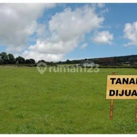 tanah langka di semambung juanda lama deretan swiss be