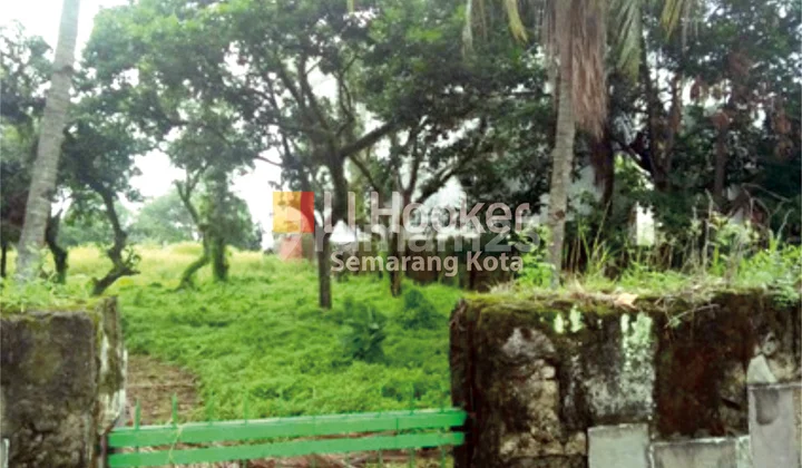 kavling pinggir jalan raya ungaran kavling pinggir jalan raya ungaran