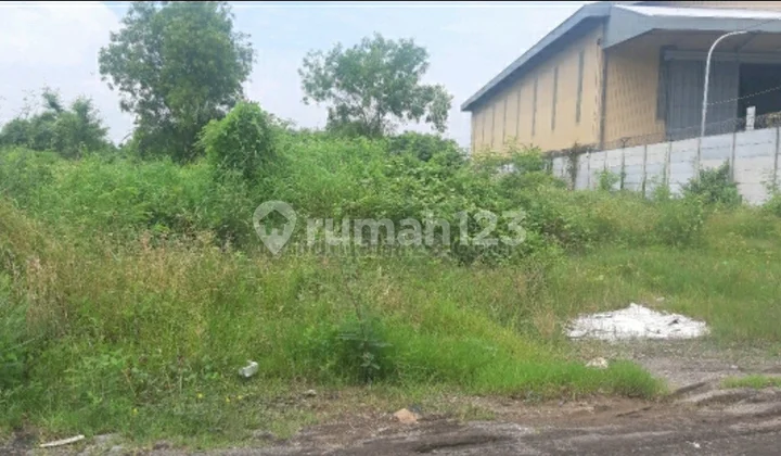 Tanah Murah di Romokalisari Tanah Murah di Romokalisari