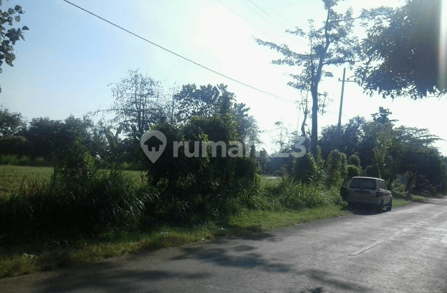 Boto Main Road Main road between Probolinggo and Bromo