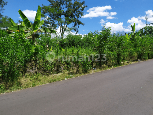 land in Dieng Atas, Malang
