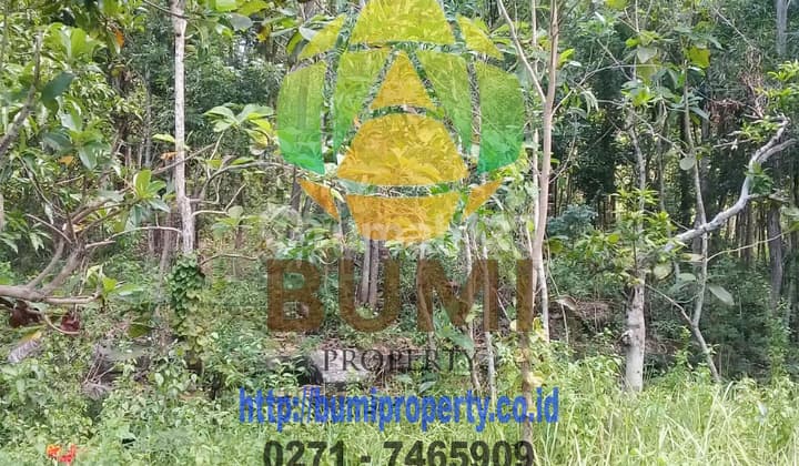 Tanah kering lokasi manyaran Wonogiri