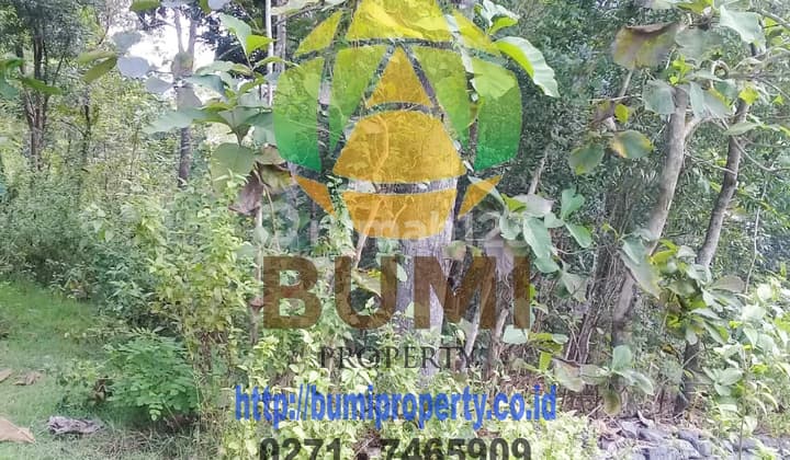 Tanah kering lokasi manyaran Wonogiri