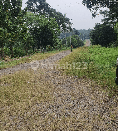 Tanah matang siap Bangun Akses sendiri Pinggir jalan Raya