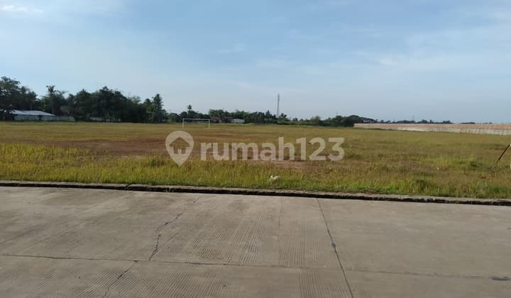 Tanah Matang Siap Pakai