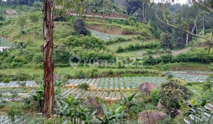 Astonishing Land With Panoramic Views