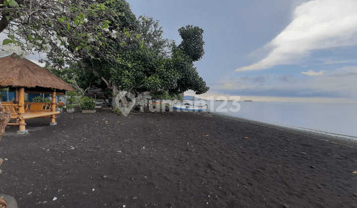 Tanah Pinggir Pantai Investasi 4.4M Buleleng Bali Utara