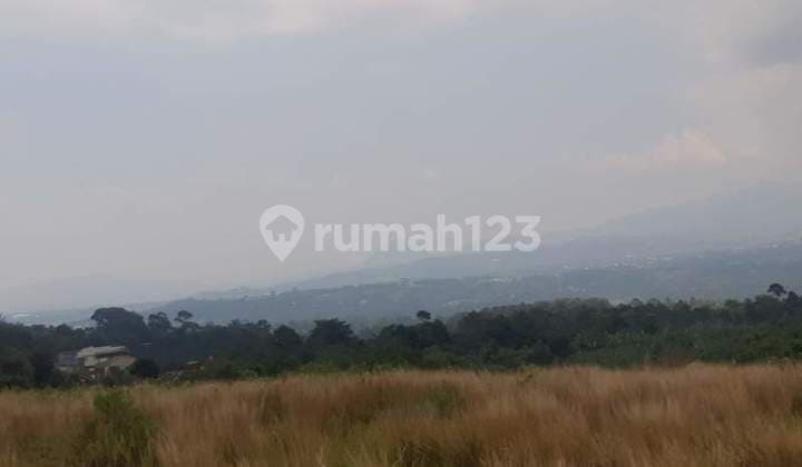 Tanah Lahan Murah Siap Bangun Luas 4.2 Hektar di Cipicung, Cijeruk Bogor Jawa Barat