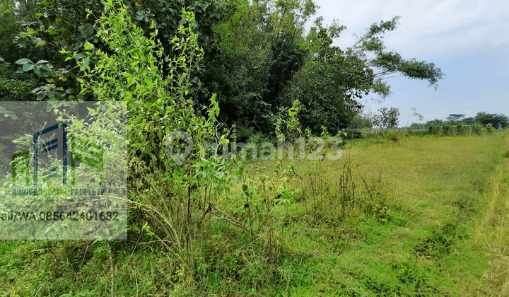 Tanah Murah Pinggir Jalan Raya Sambi Boyolali
