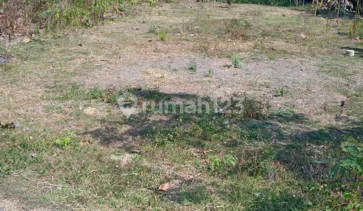 Tanah Shm Murah Kawasan Bukit Bintang Dan Heha Piyungan Bantul