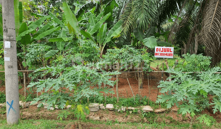 Tanah2 siap bangun dgn aneka ukuran di area strategis ciateu .. pamulang harga nego