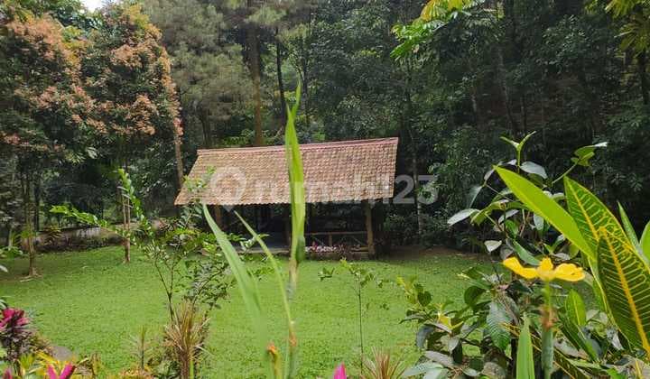 Tanah Lahan Murah Siap Bangun Dengan Luas 8.000m di Sukaharja Cijeruk Bogor