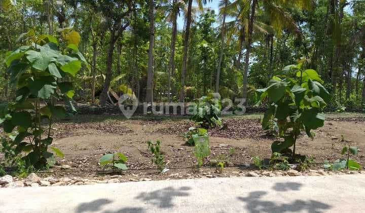 Tanah Kavling Bagus di Bantul