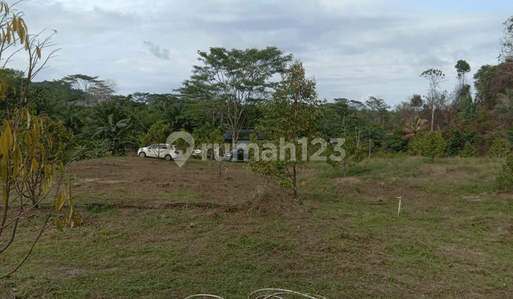 di kavling suvarna di kavling suvarna