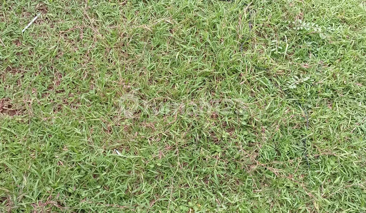 di sangat murah kavling suvarna sutera di sangat murah kavling suvarna sutera