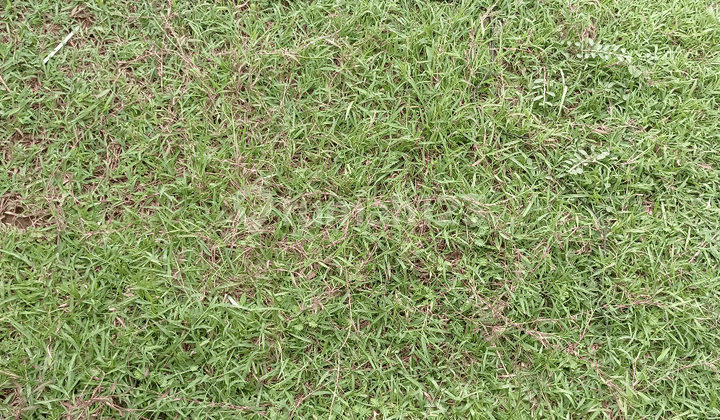 di sangat murah kavling suvarna sutera